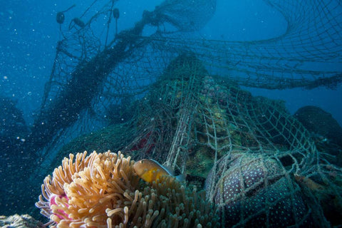 Fishing nets in the ocean